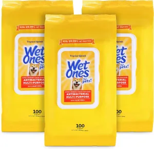 Wet Ones Multi-Purpose Pets Wipes with Aloe Vera for All Dogs - Tropical Splash Wipes for Dog Paws & All Over Use (Pack of 3, 300 Count Total)