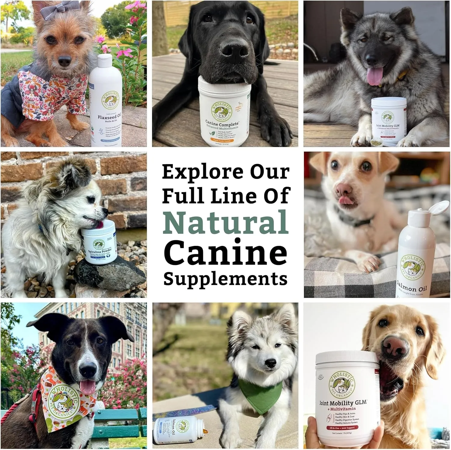 Wholistic Canine Complete with Organic Pumpkin for Dogs - 1 Lb - Dog Vitamins and Supplements with Pumpkin Powder for Digestion, Skin & Coat Health - Multivitamin for Dogs with Probiotics & Fiber
